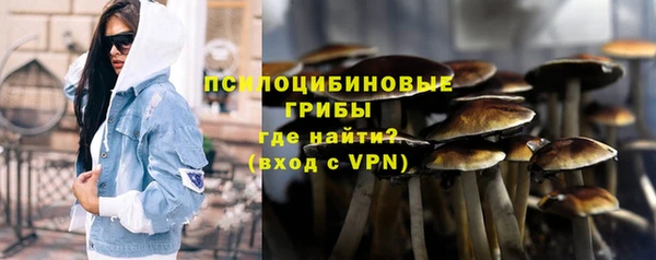 марки lsd Белокуриха