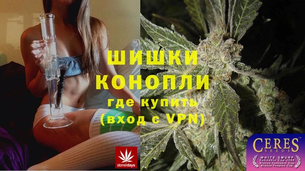 марки lsd Белокуриха