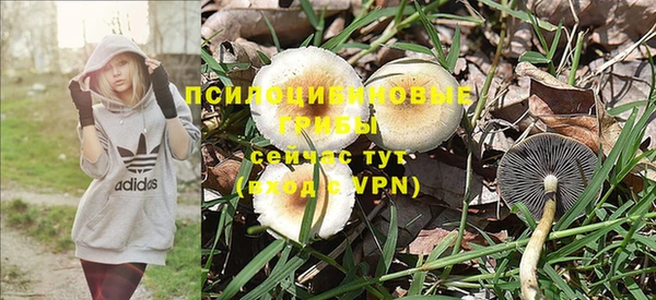 амф Снежинск