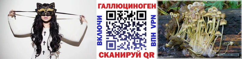 Псилоцибиновые грибы Cubensis Кушва